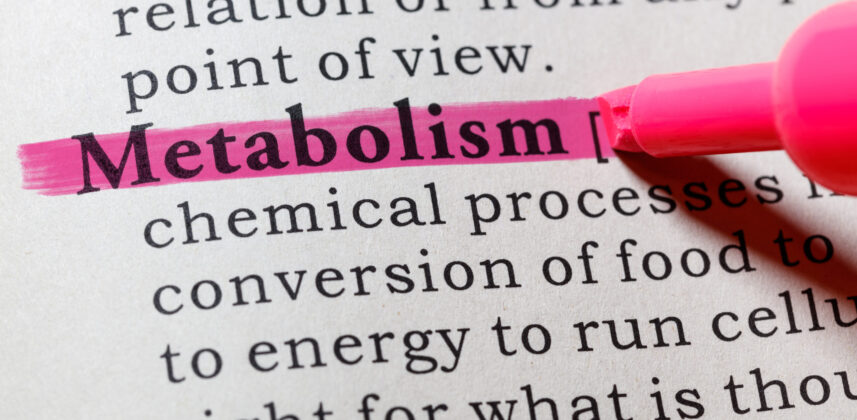 How more calories can break a weight loss drug plateau